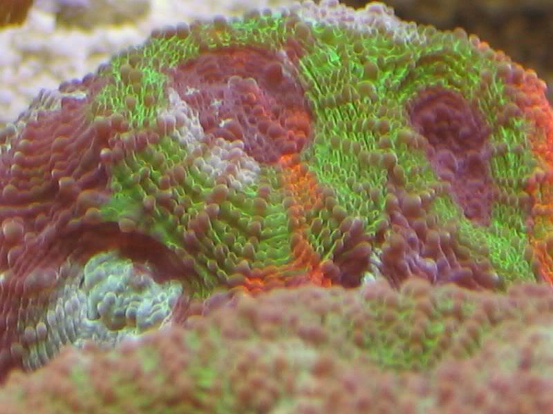 65g010.jpg