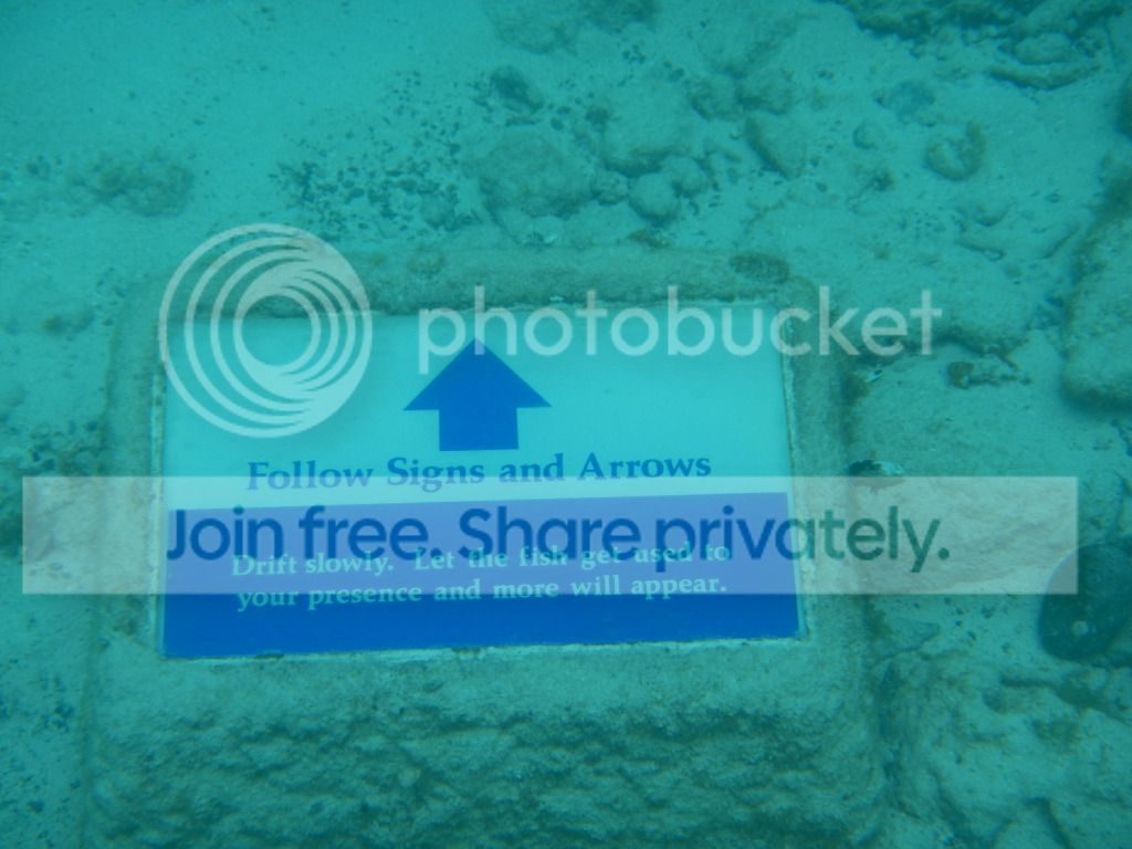 DSCN0474.jpg