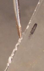Finishcut1.JPG