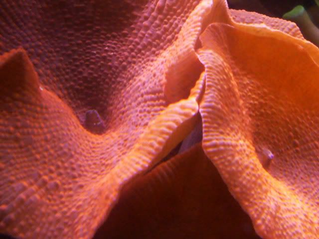 P1010098.jpg