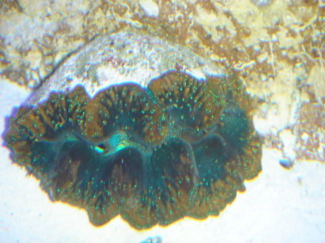 DSC00322.jpg