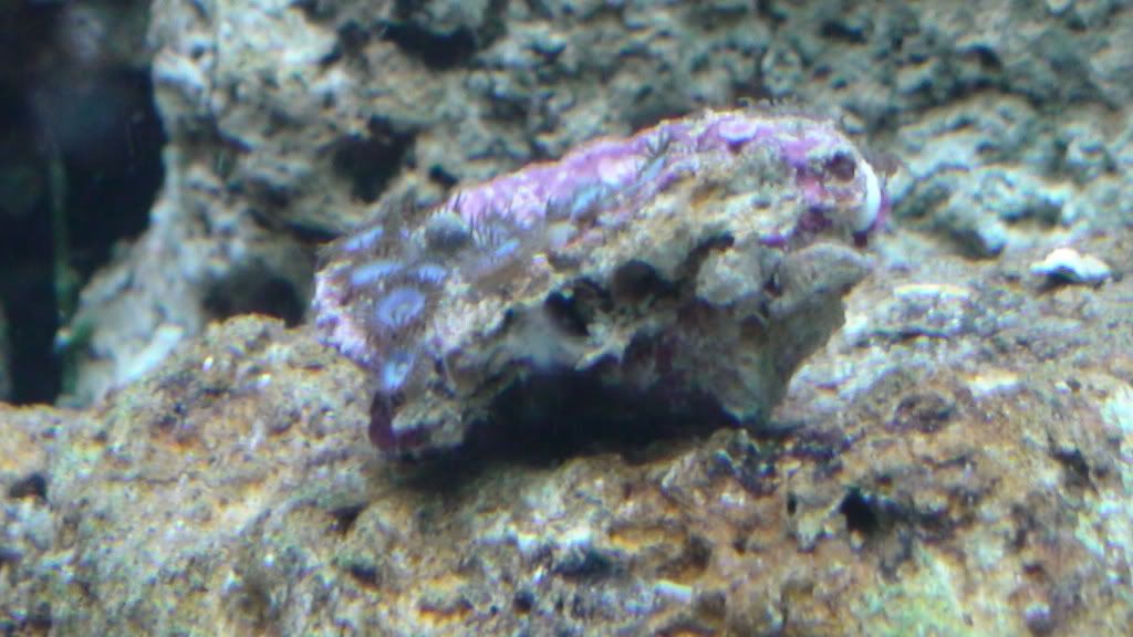 DSC00403.jpg