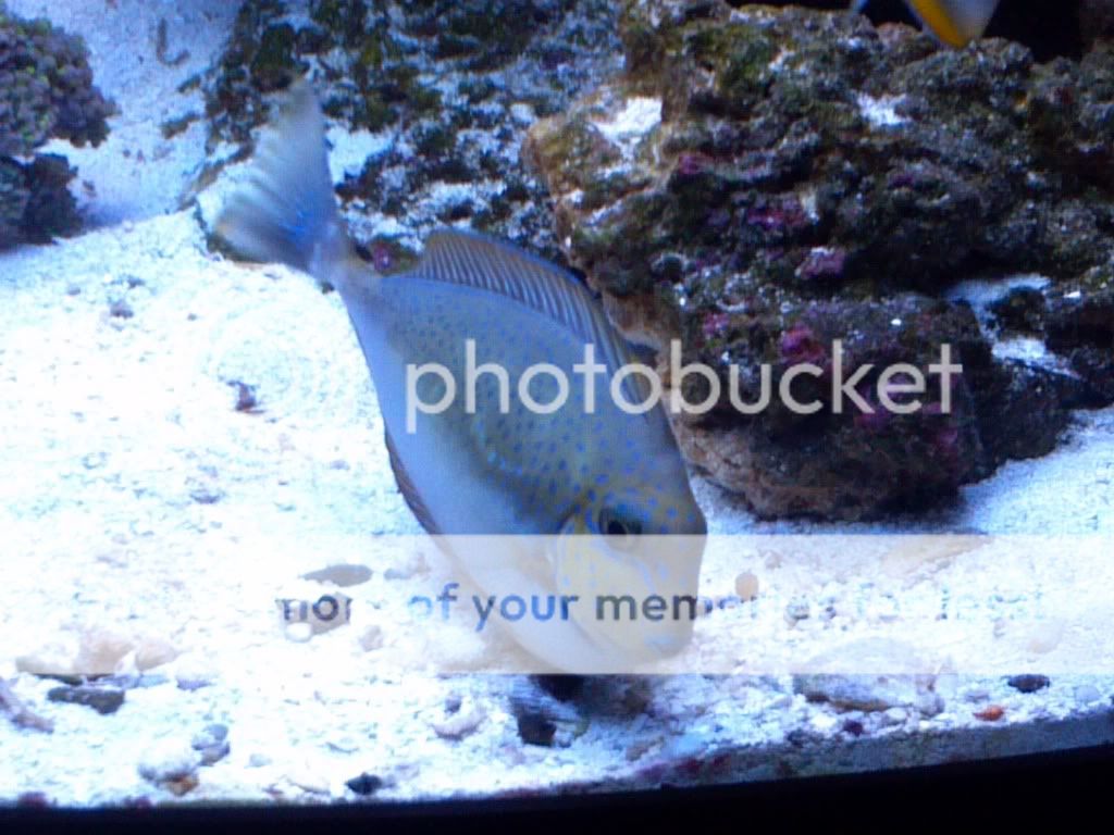 2011-12-07_13-45-04_837.jpg