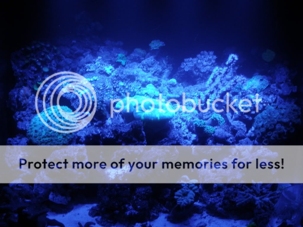 augustnano13.jpg