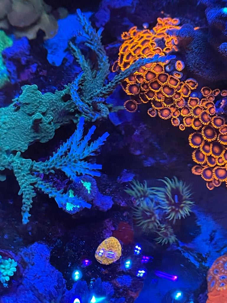 99550d0e393c554fae07ea56844a59ec.jpg