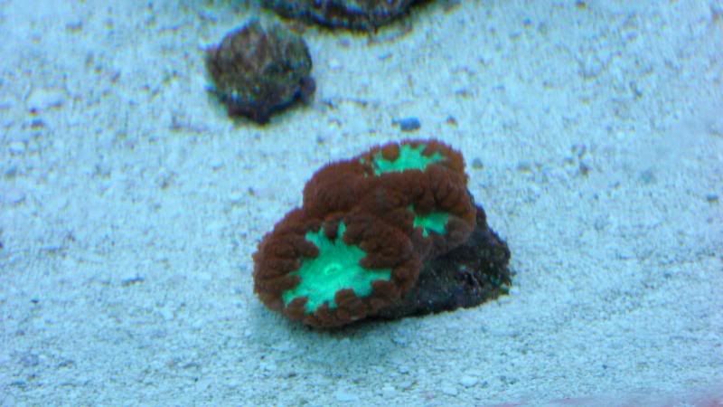 DSCN0793.jpg