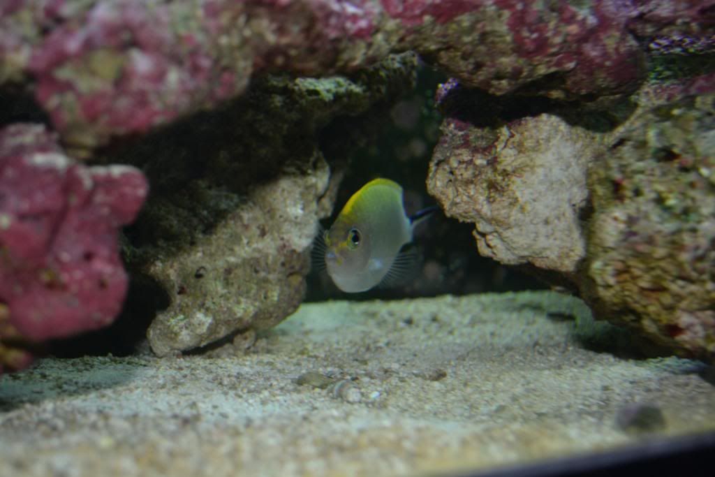 DSC_0046.jpg