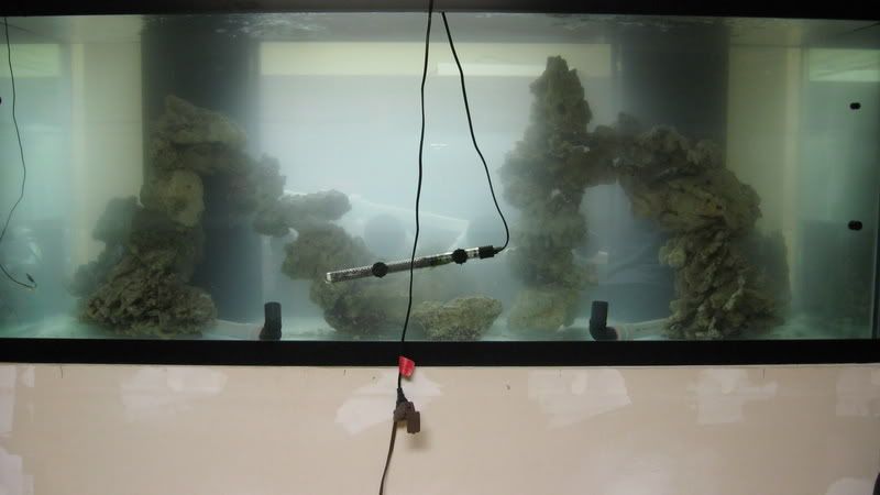 210-Aquascape014-1.jpg