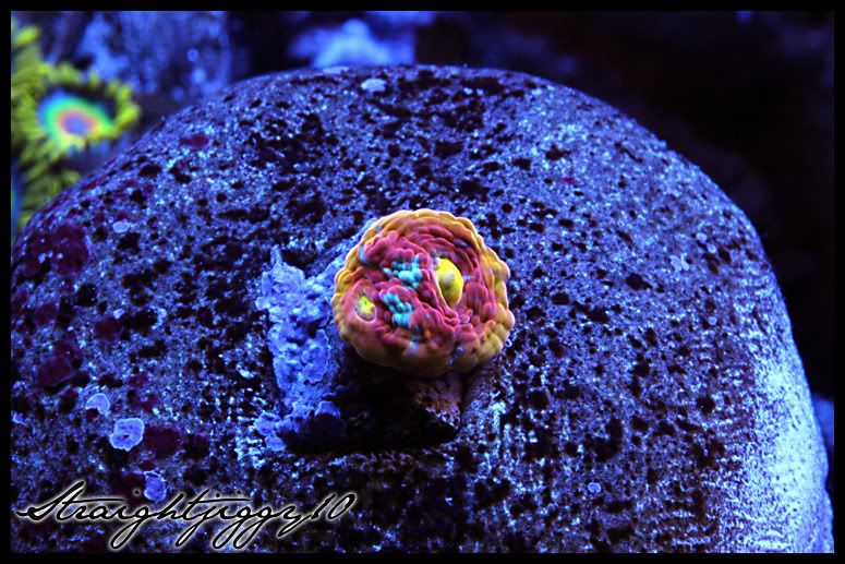 FTDEC122011.jpg