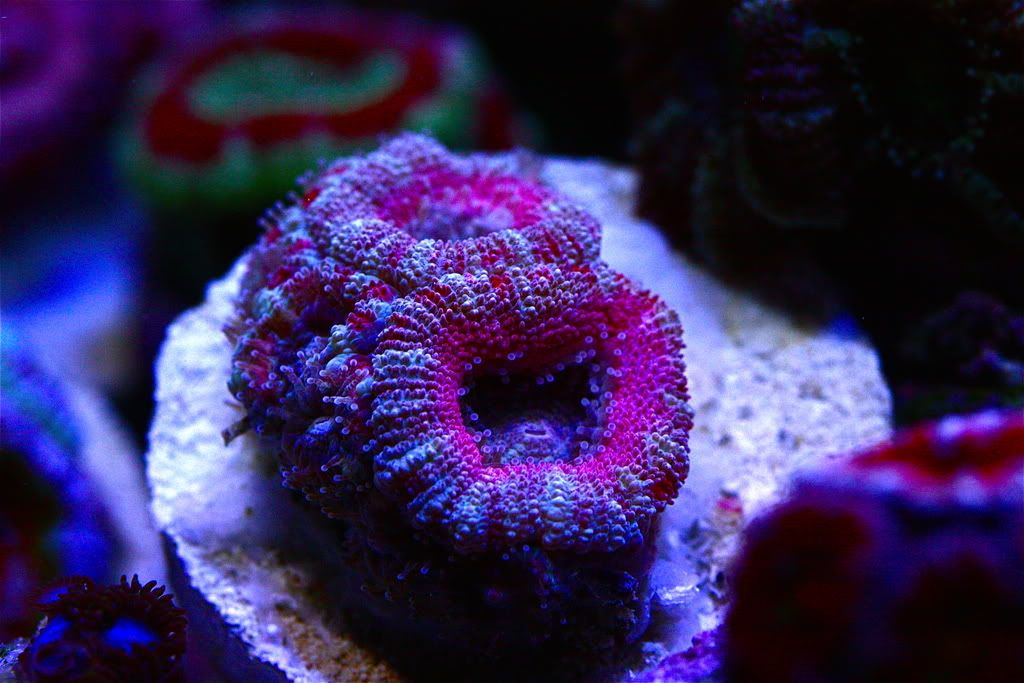 IMG_5746.jpg