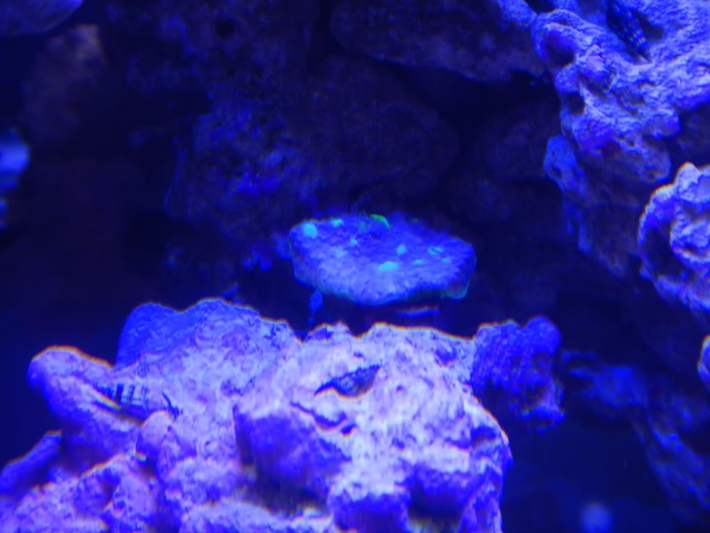 DSCN0232.jpg