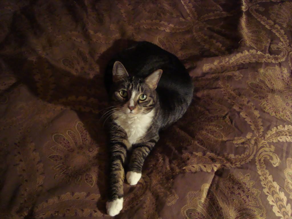 DSC01105.jpg