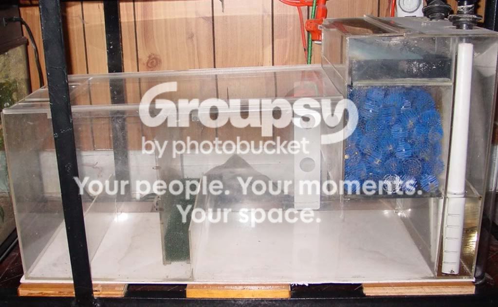 sump-1.jpg