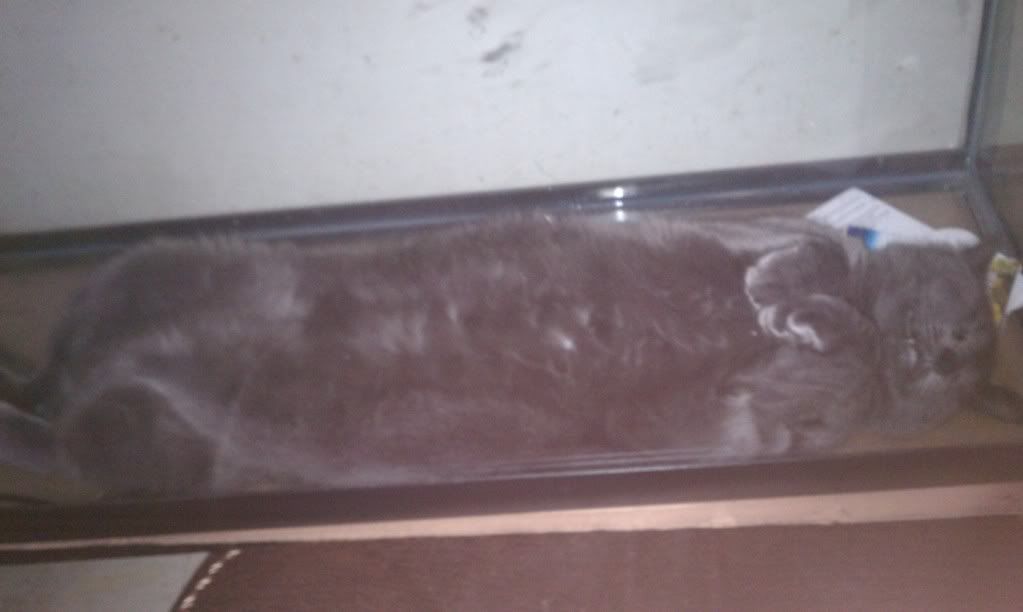 IMAG0271.jpg