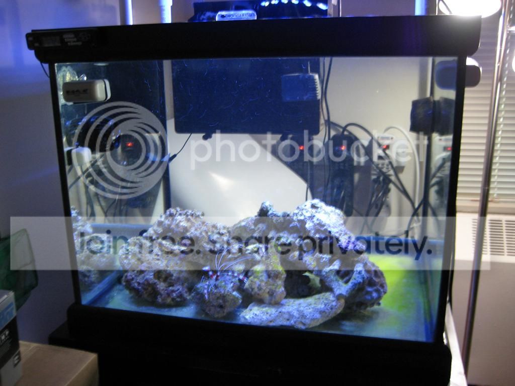 IMG_2077.jpg