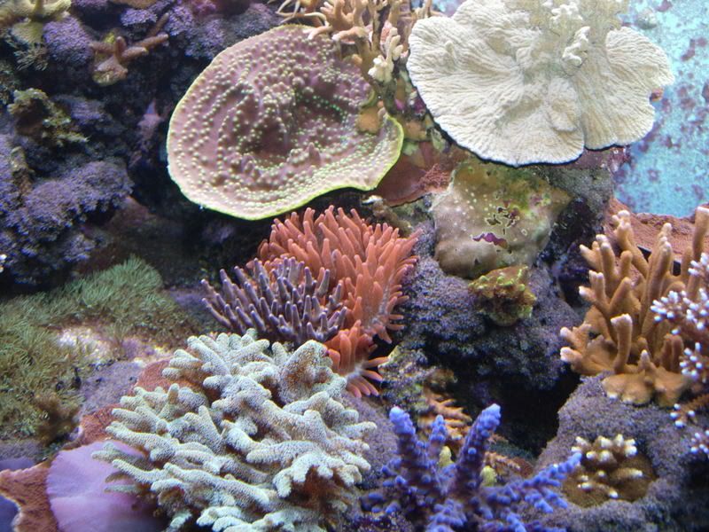 DSCN1723.jpg