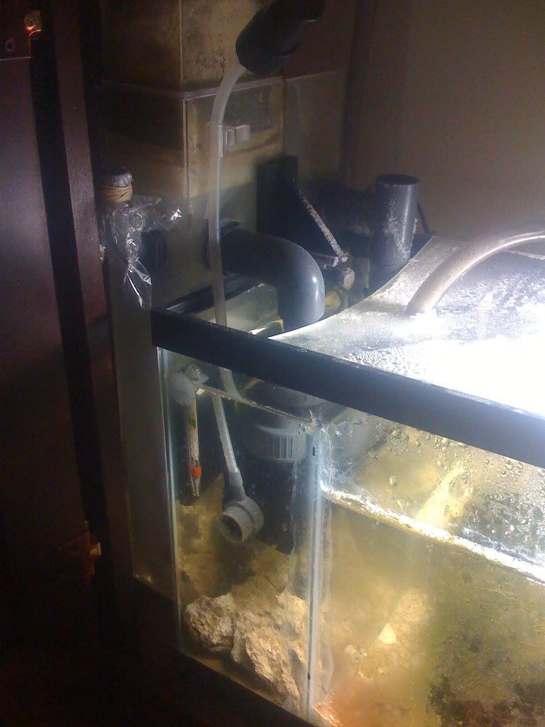 Picture122.jpg
