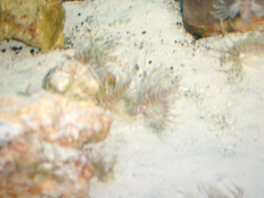 SV400007.jpg