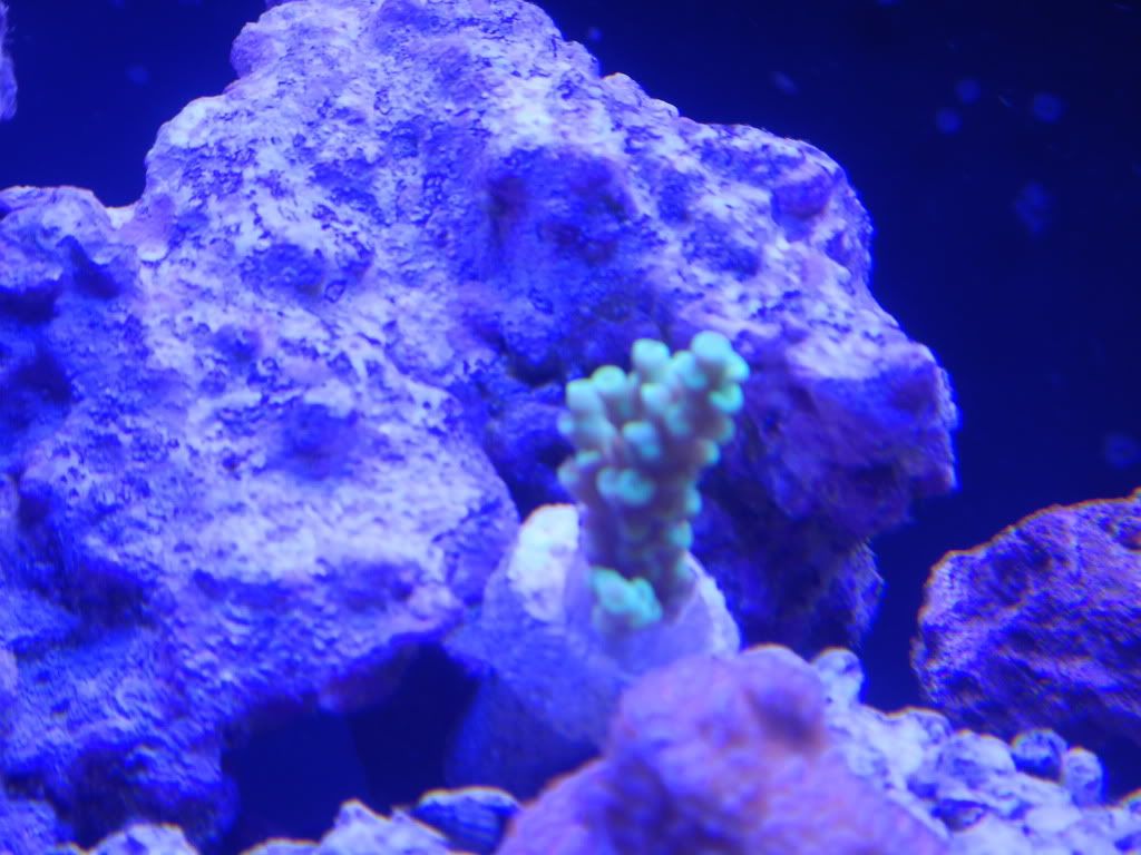 DSCN0225.jpg