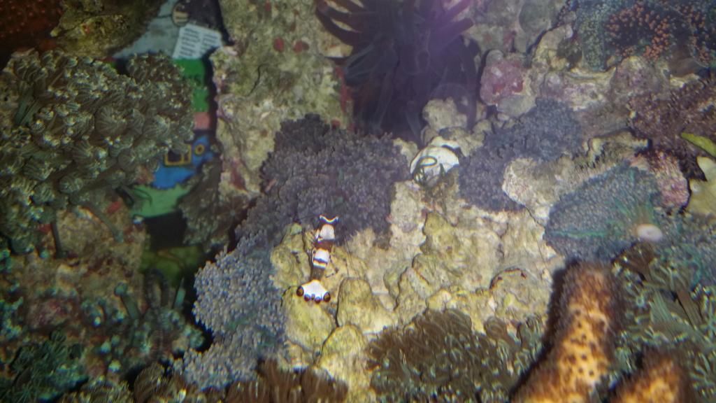 2015-01-19230708_zps2ffb928e.jpg