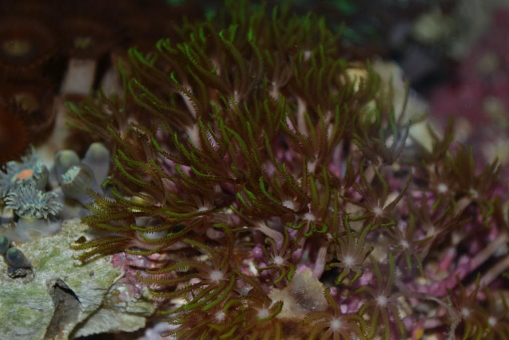 DSC_0037.jpg
