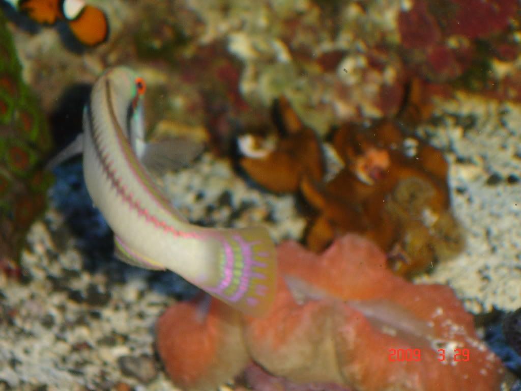 DSC03037.jpg