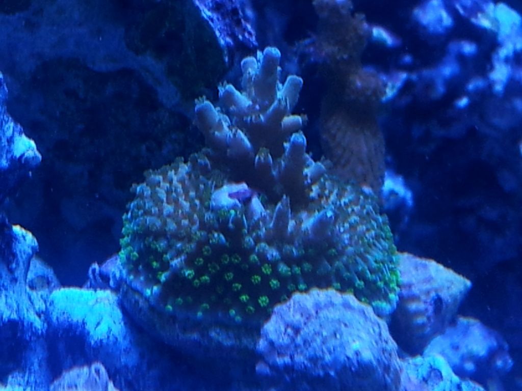 2012-03-28163647.jpg