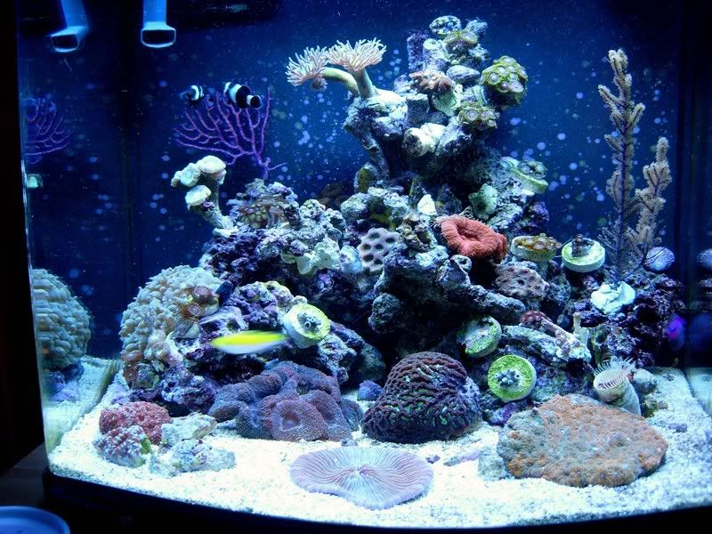 fts240208.jpg