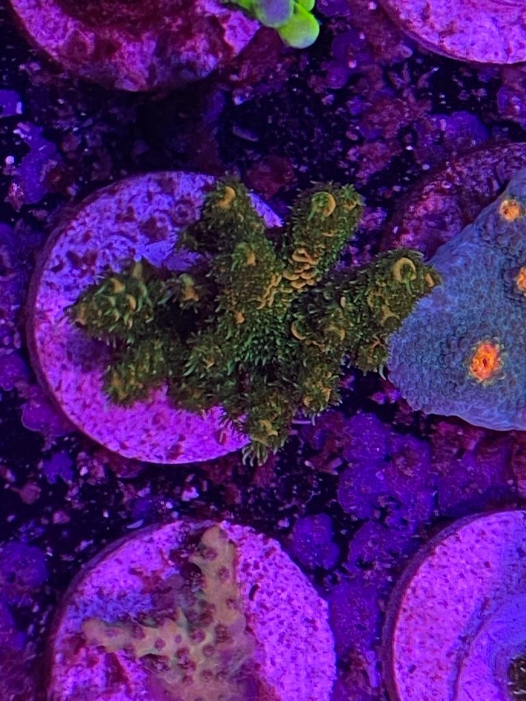 3543ae5c003d9d93f95d72f2b5f5c164.jpg