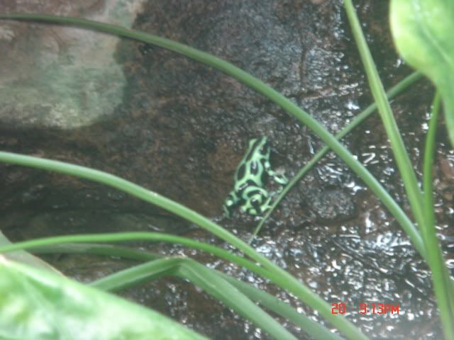 DSC01447.jpg