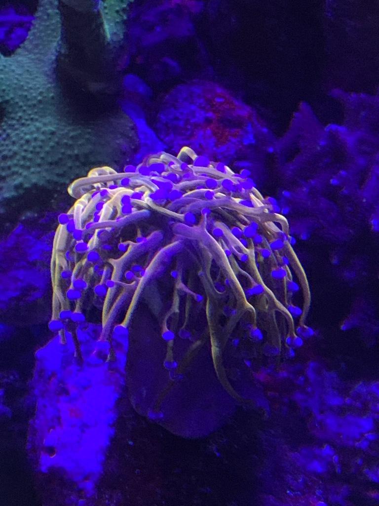 ff849e14b8412323b87932c8eae05245.jpg