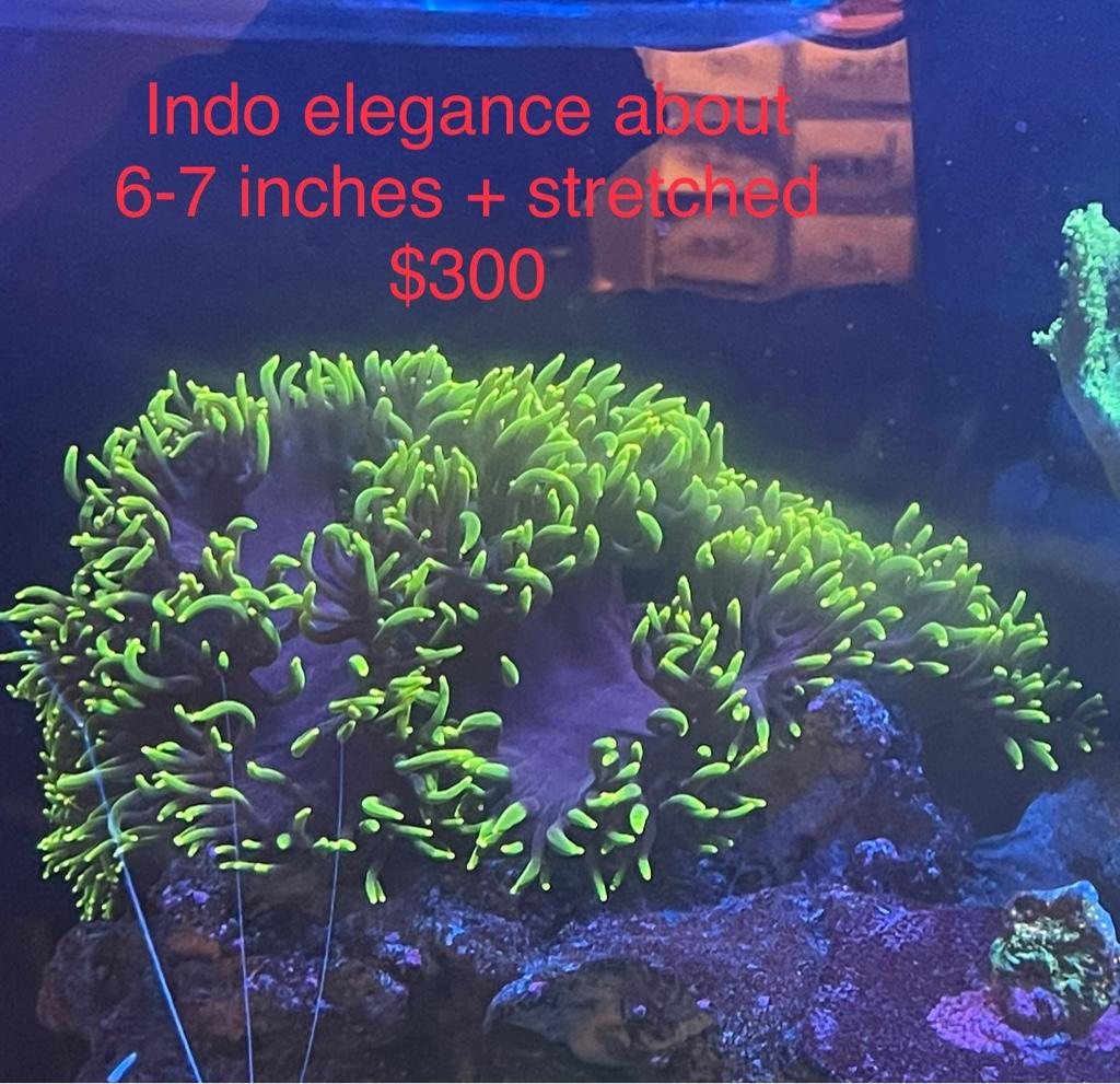 d34218d6b6e65c86d82432f05fefd0b2.jpg