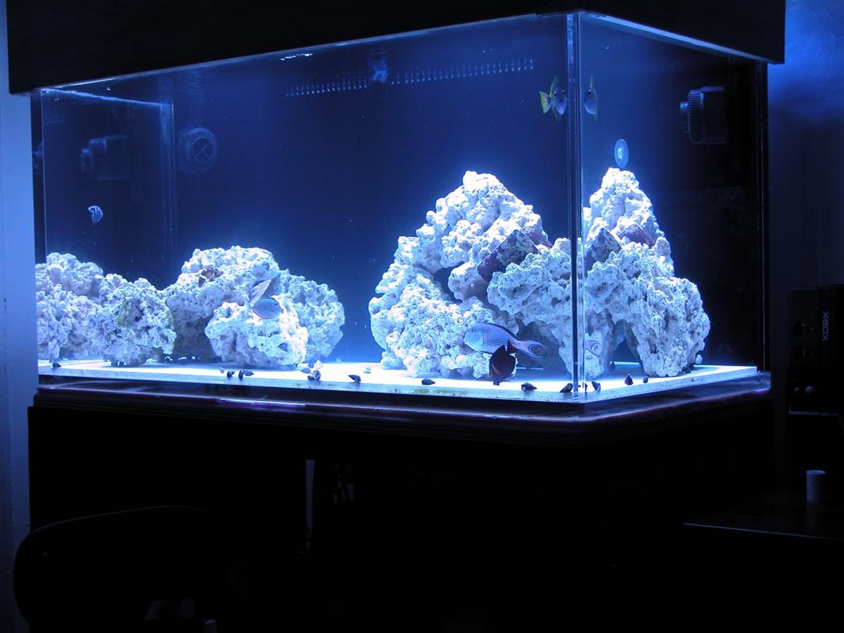 aquascape2.jpg