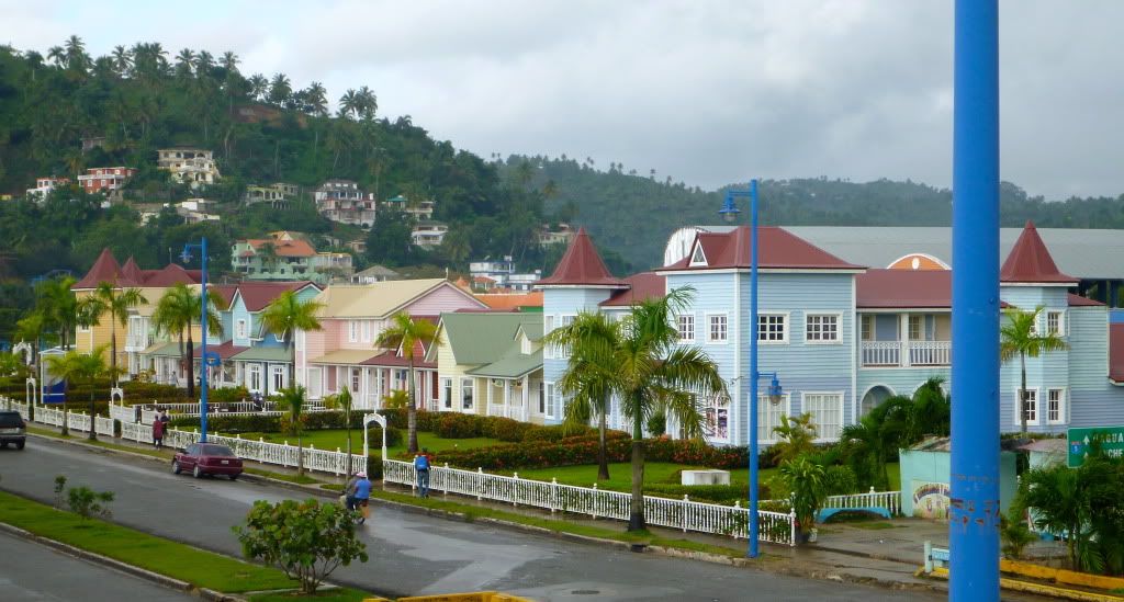 P1000147.jpg