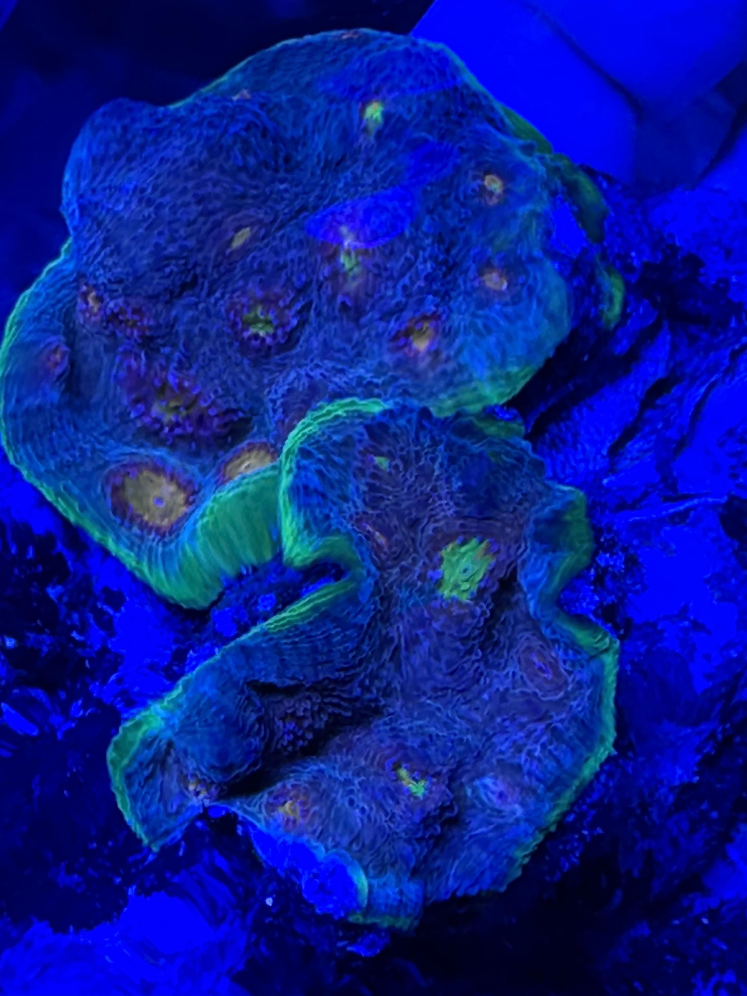 e3b14e4765be2c57a1eac90c9e8d167d.jpg