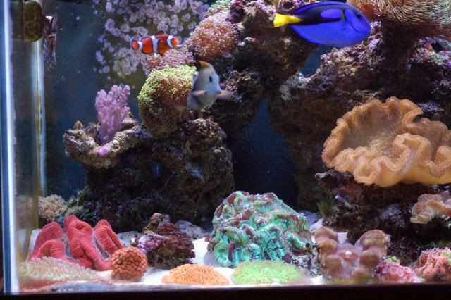 DSC_7378.jpg