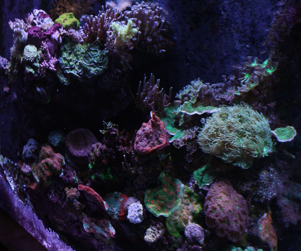 IMG_8931.jpg