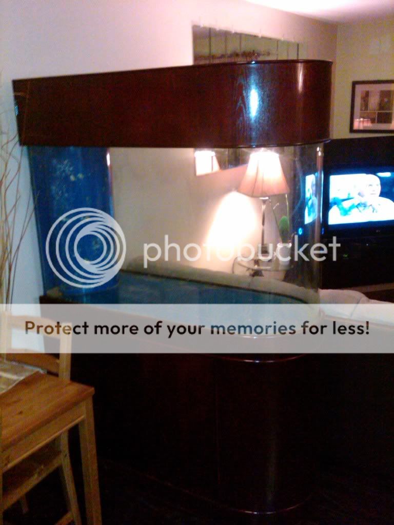 IMG00076-20110303-2355.jpg