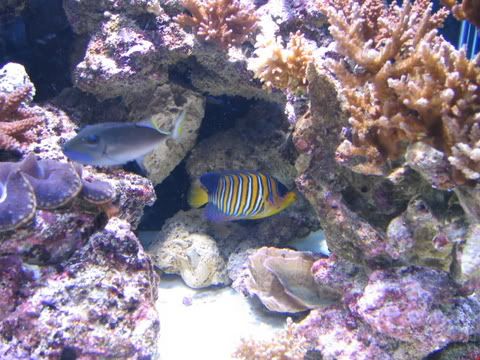 IMG_6469.jpg