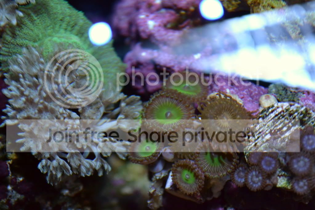 nanoforsale050.jpg