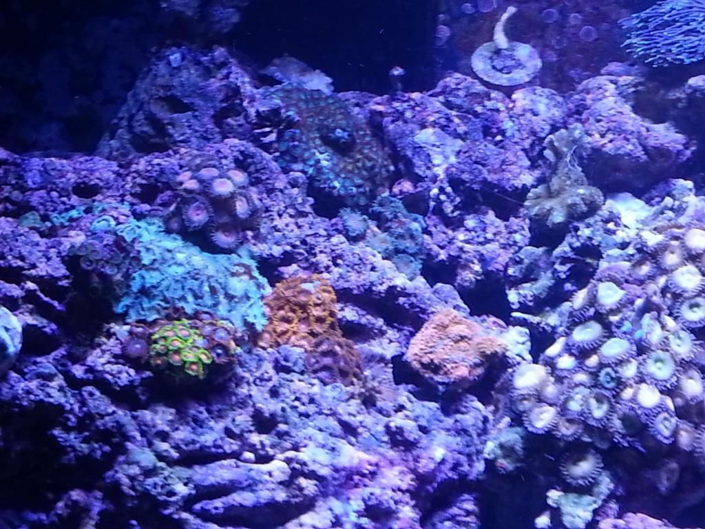 20121008_121343.jpg
