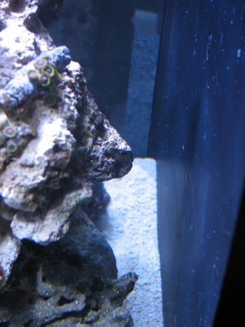IMG_1154.jpg