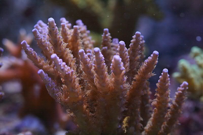 IMG_3025.jpg
