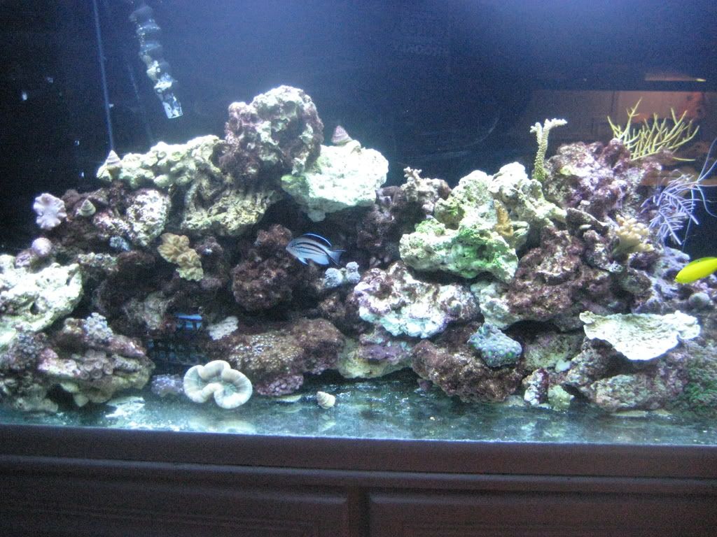 001-2.jpg