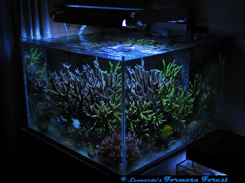 FTS2.jpg