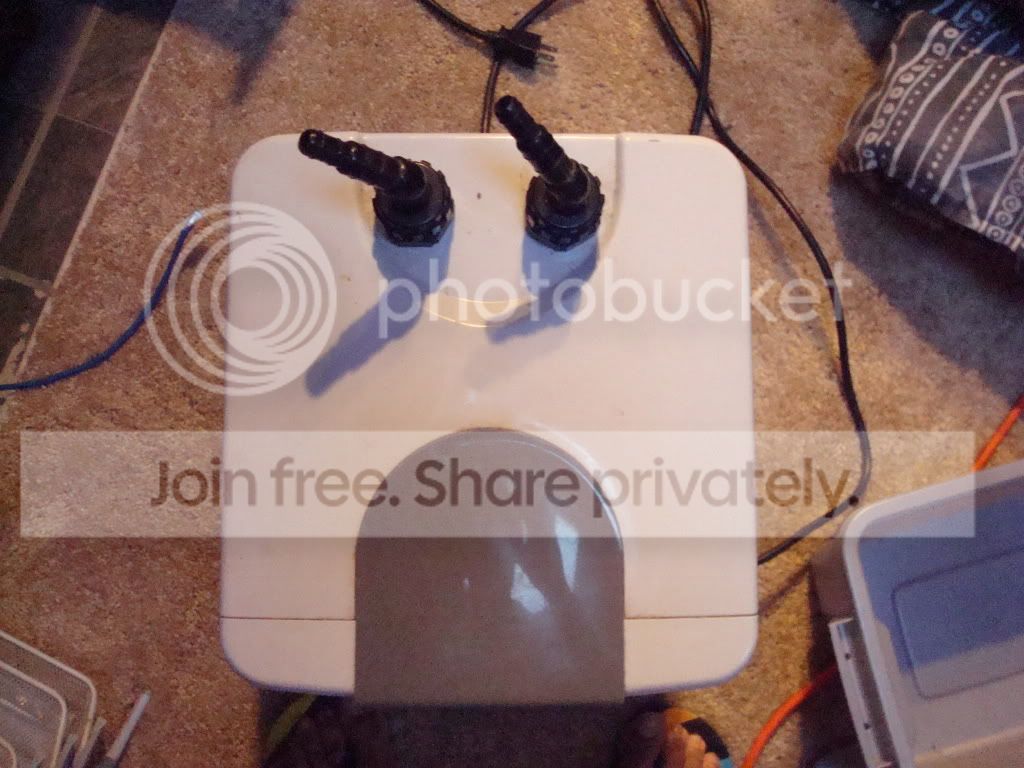 Picture018.jpg