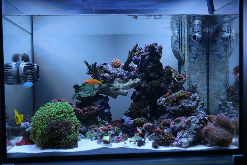 FTS.jpg
