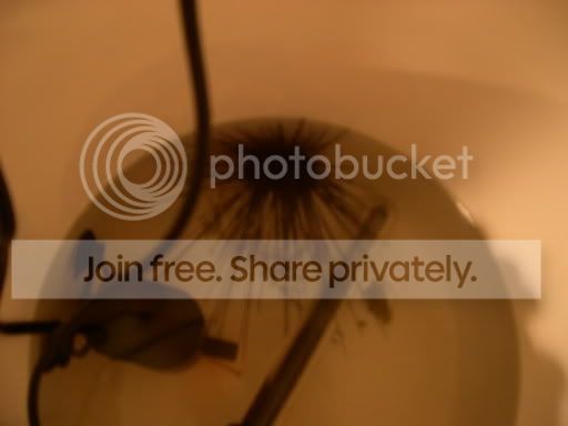 DSCN1030.jpg