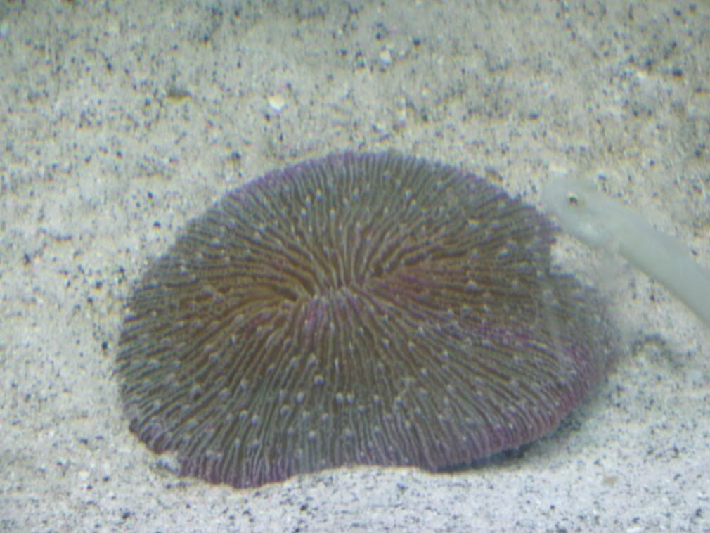 jayfish027-2.jpg