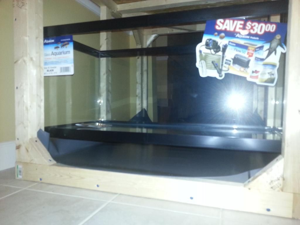 20121116_212608-1.jpg
